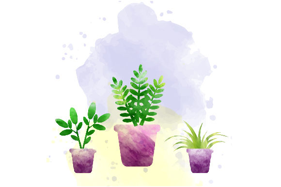 A Designer's Review of Watercolor House Plants for Client Projects