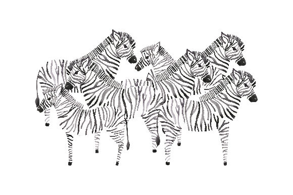 A Practical Review: Herd of Zebra Watercolour for Craft & Animal Designs