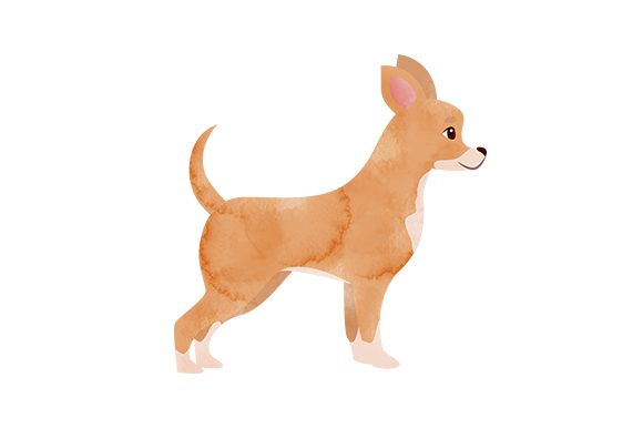 A Versatile Watercolour Chihuahua Design for Animals and Crafts