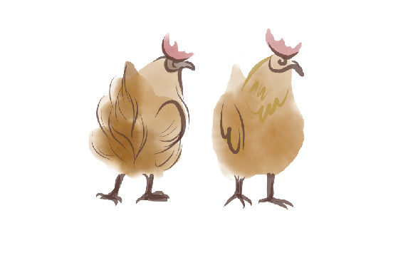 A Watercolor Chicken Embroidery Design for Real Projects