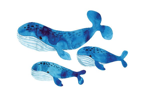 Crafting Whimsy: Whale Family Watercolour for Handmade Family Products