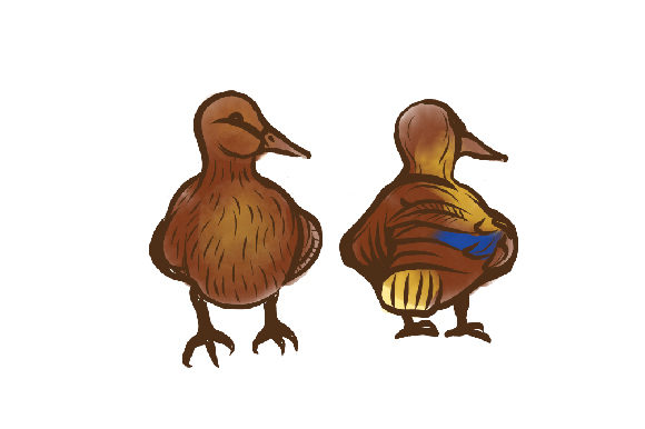 Practical Review of a Watercolor Duck Design for Crafters
