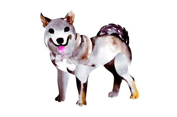 Shikoku Watercolour Crafts: A Designer's Review for Branding