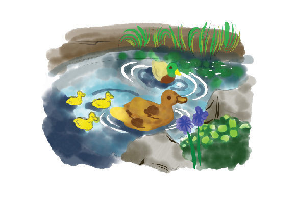 Watercolor Pond Setting for Crafters and Nature-Themed Designs